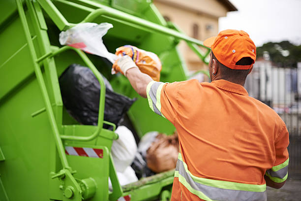 Best Shed Removal  in South Lake Tahoe, CA